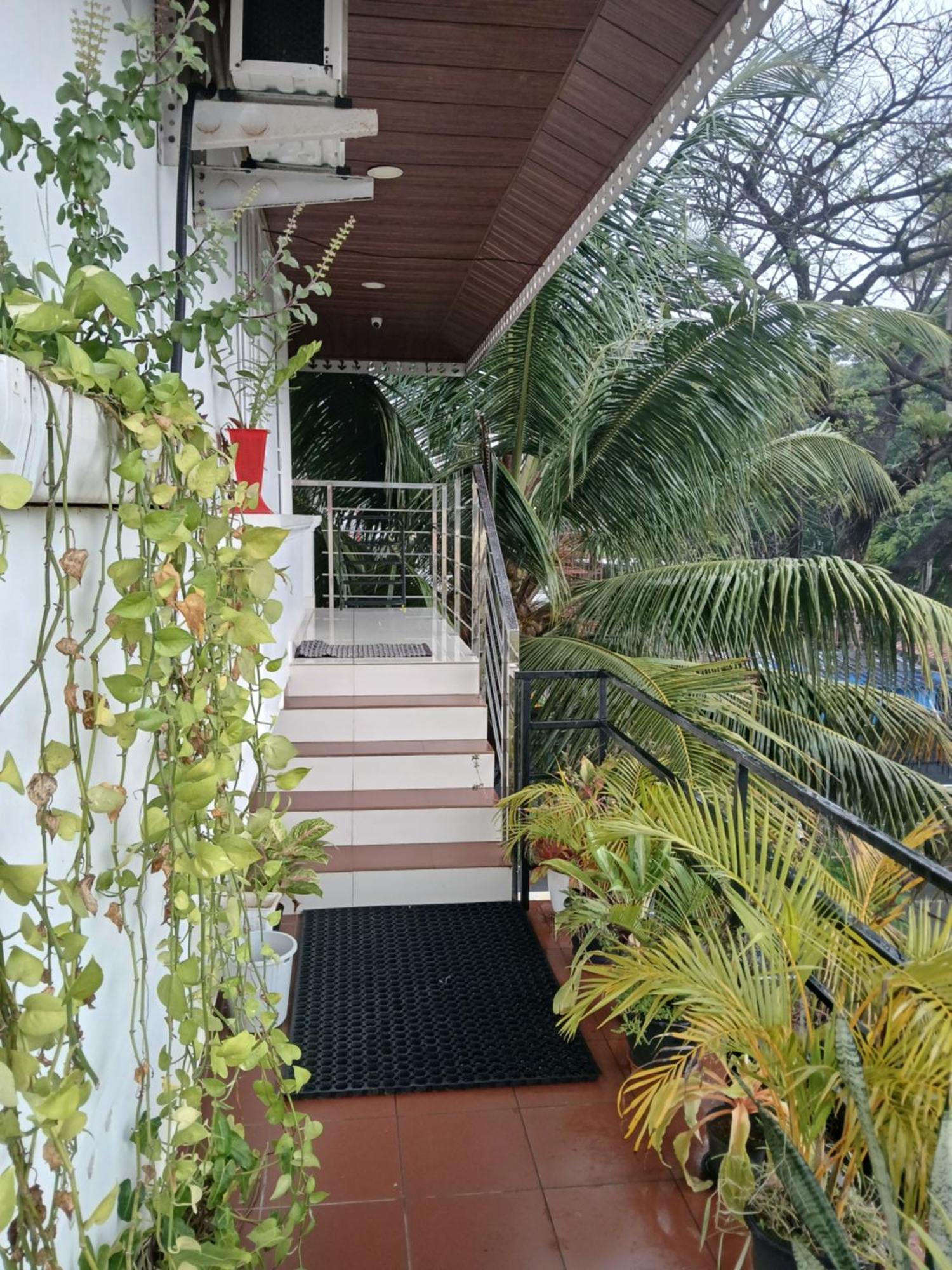 Annies Inn Homestay Kochi エクステリア 写真