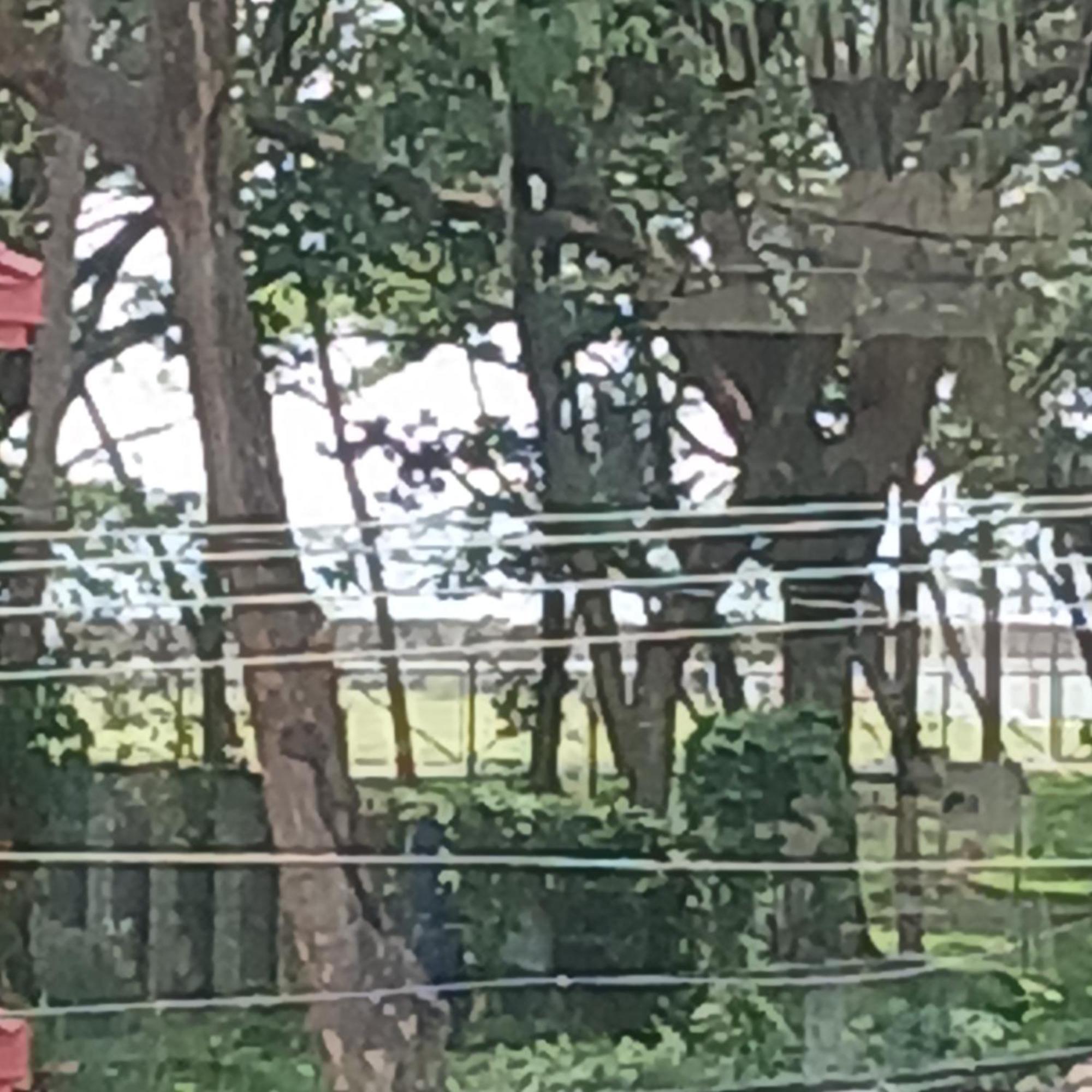 Annies Inn Homestay Kochi エクステリア 写真